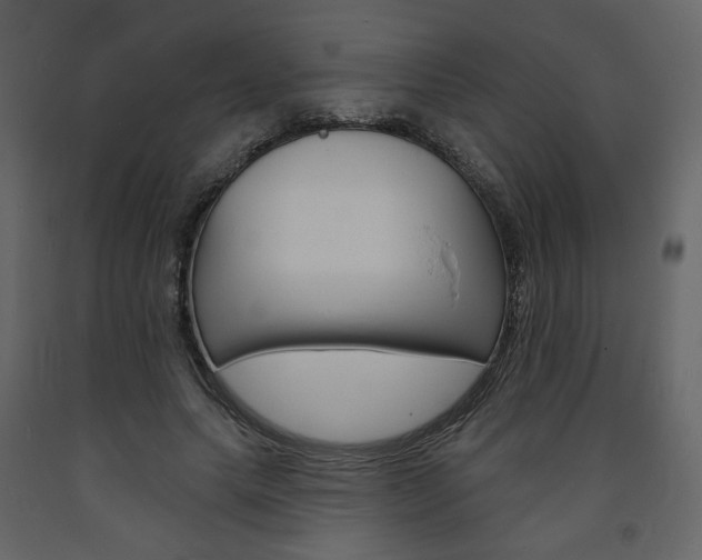 X0000094070639200710190957