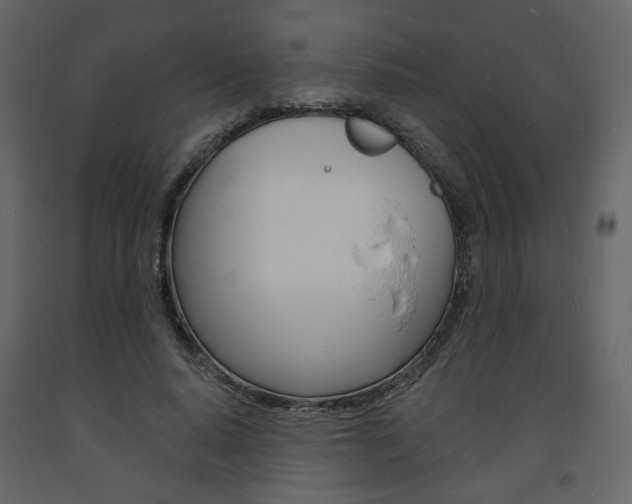 X0000094070640200710190957
