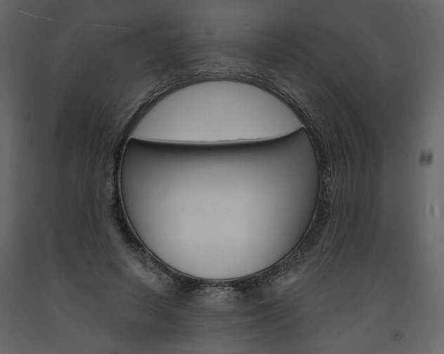 X0000094070642200710190957