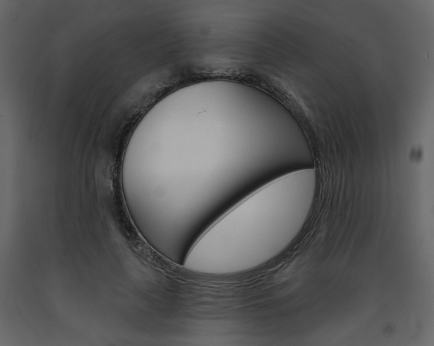 X0000094070643200710190957
