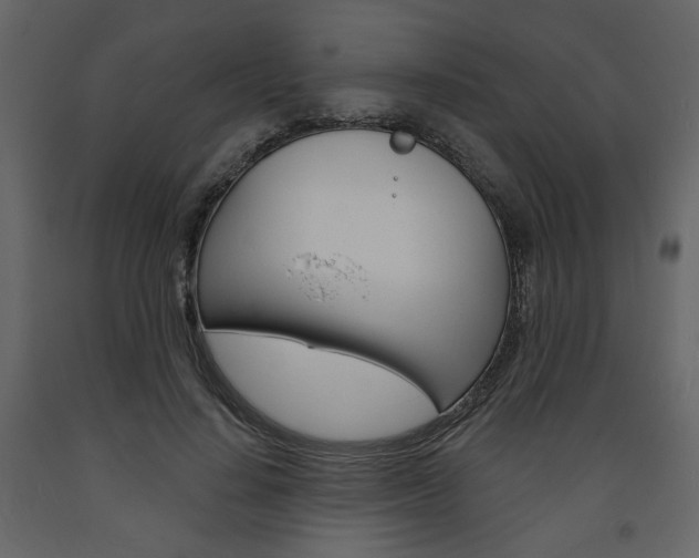 X0000094070644200710190957