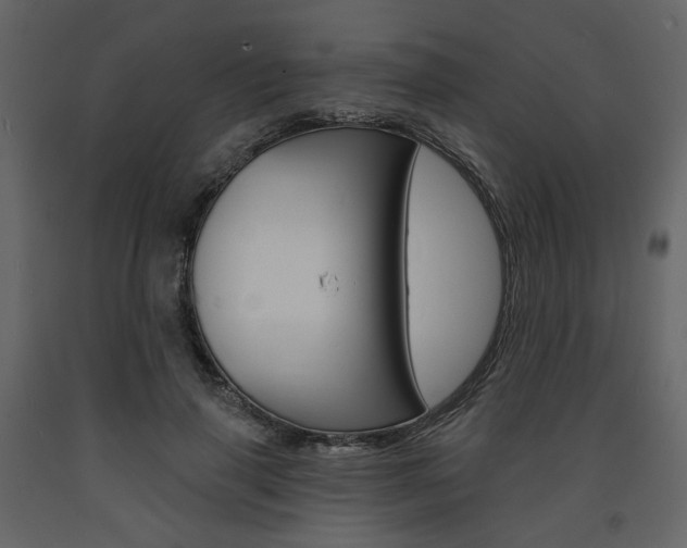 X0000094070645200710190957