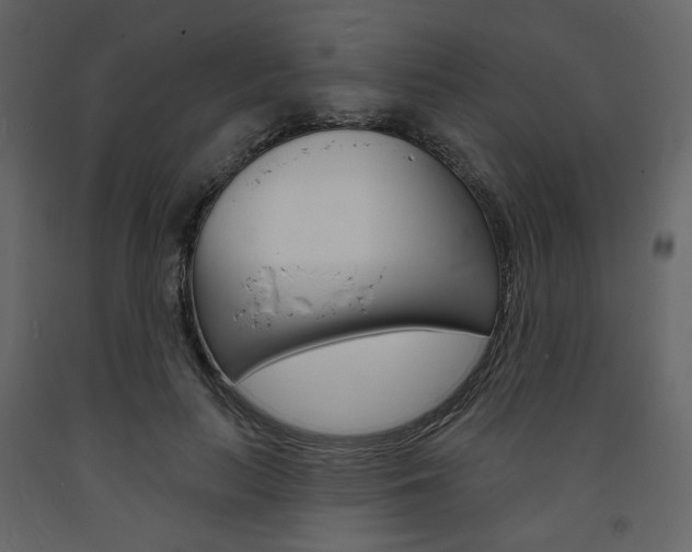 X0000094070647200710190957