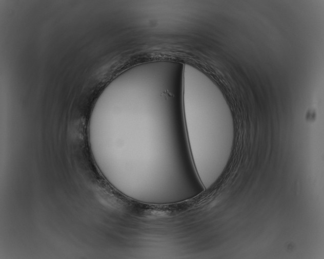 X0000094070649200710190957