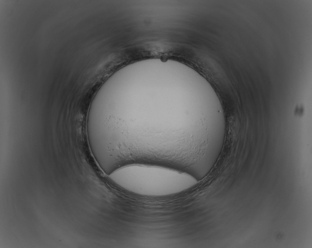 X0000094070650200710190957