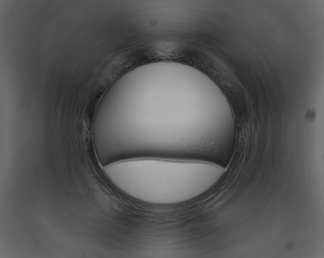 X0000094070651200710190957