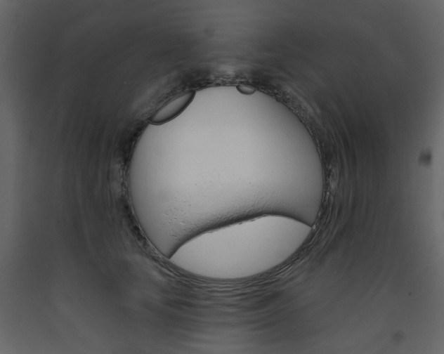 X0000094070659200710190957