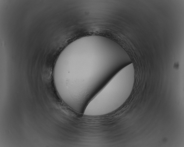 X0000094070660200710190957