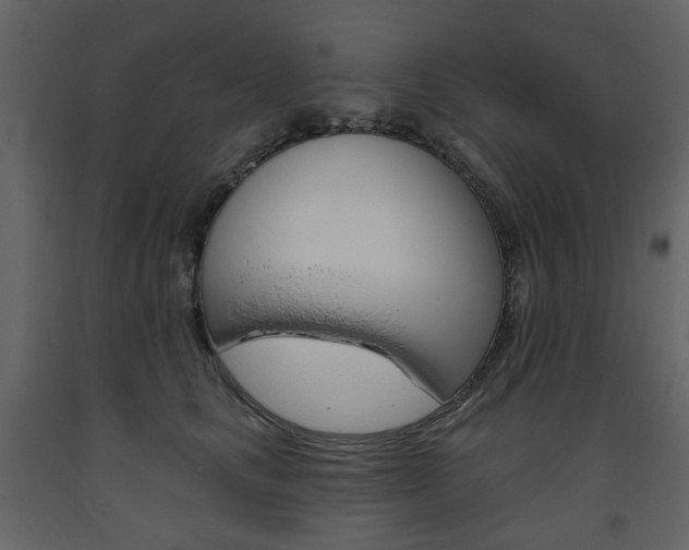X0000094070661200710190957