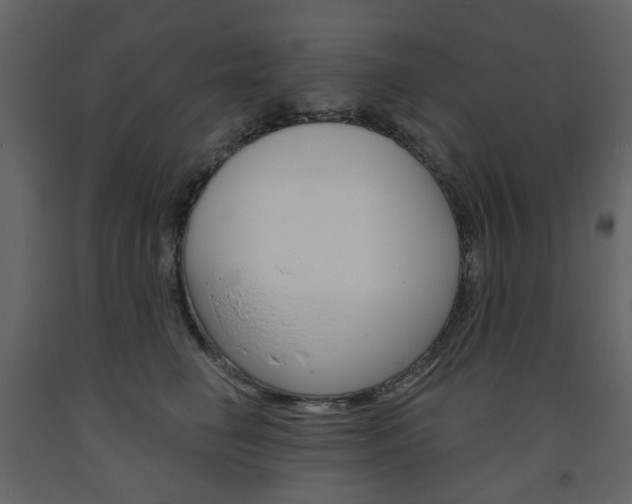 X0000094070662200710190957