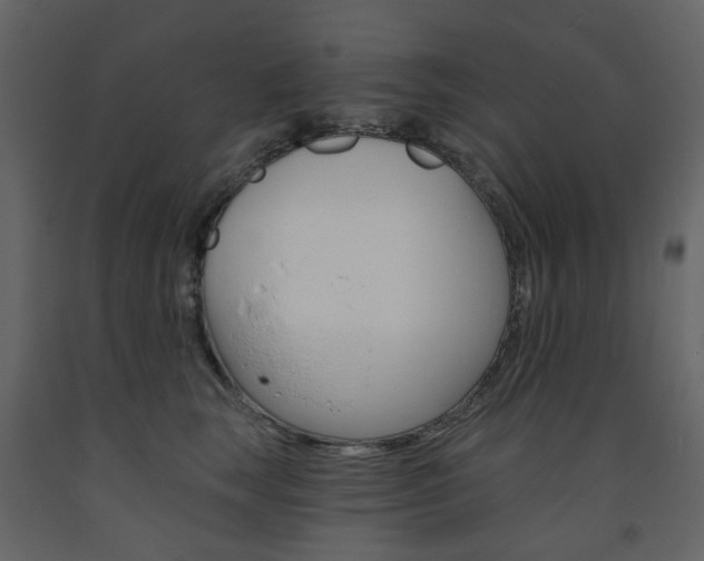 X0000094070663200710190957