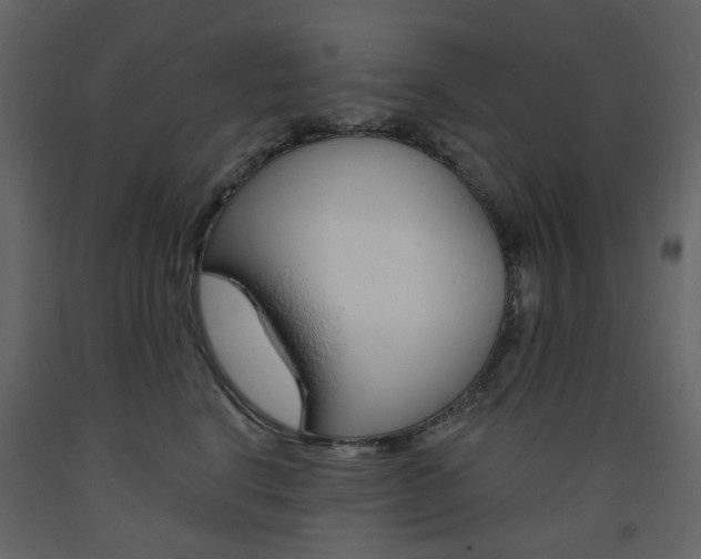 X0000094070664200710190957