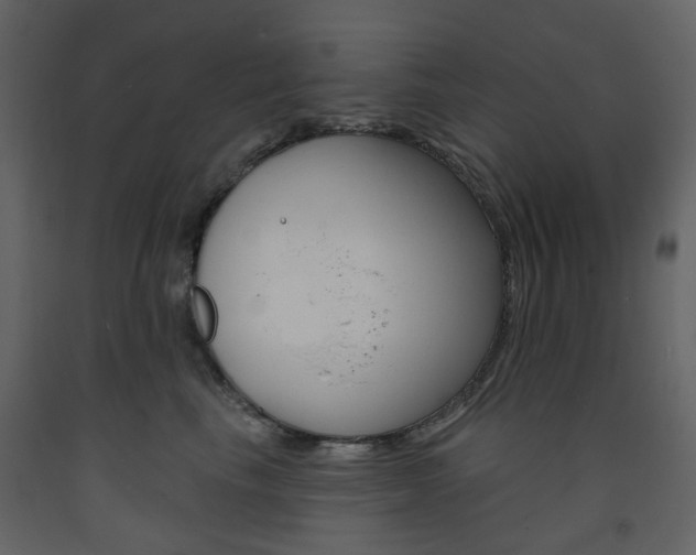 X0000094070665200710190957
