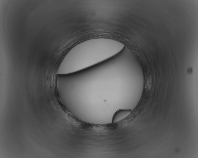 X0000094070666200710190957