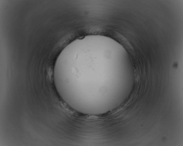 X0000094070669200710190957
