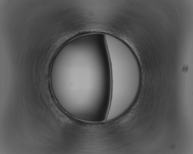 X0000094070673200710190956