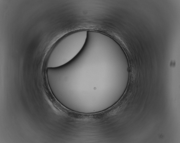 X0000094070674200710190956