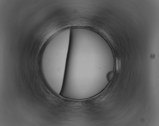 X0000094070675200710190956