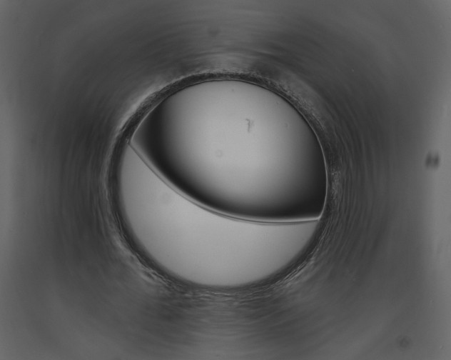 X0000094070676200710190956