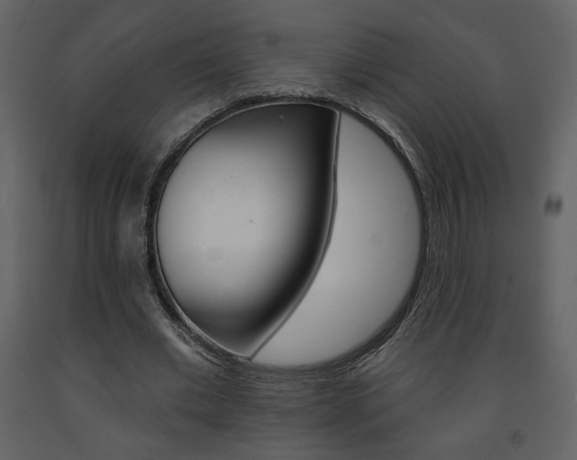 X0000094070677200710190956