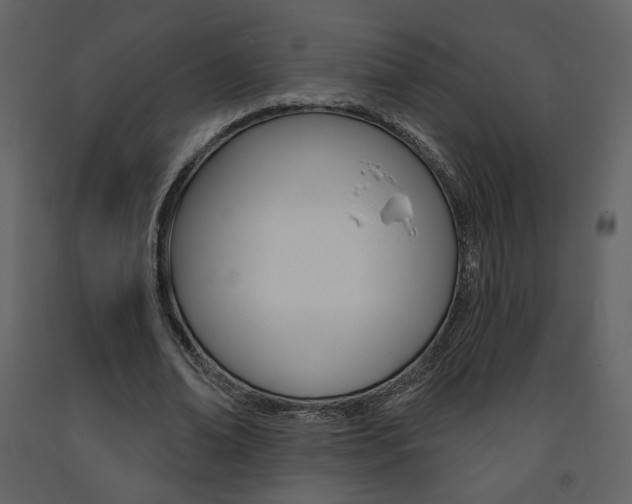 X0000094070678200710190956