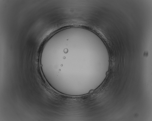 X0000094070679200710190956
