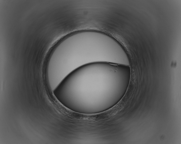 X0000094070680200710190956