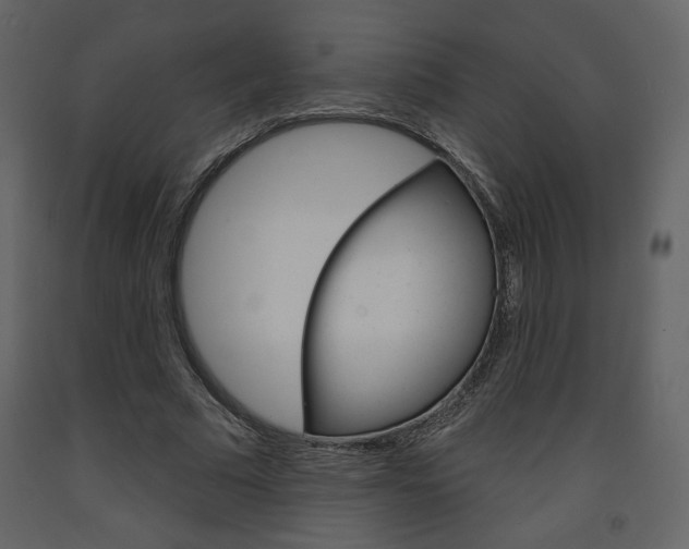 X0000094070681200710190956