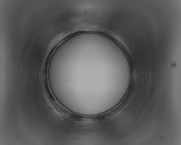 X0000094070682200710190956