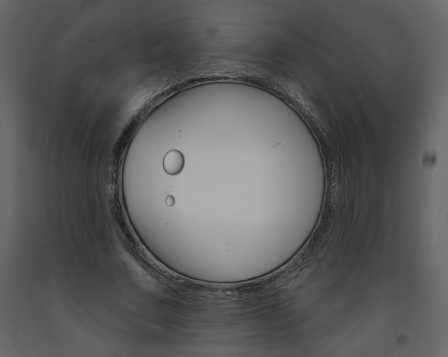 X0000094070683200710190956