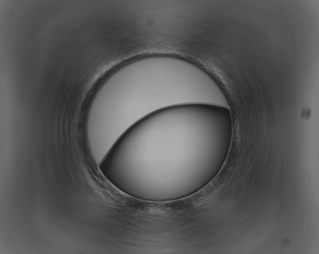 X0000094070684200710190956