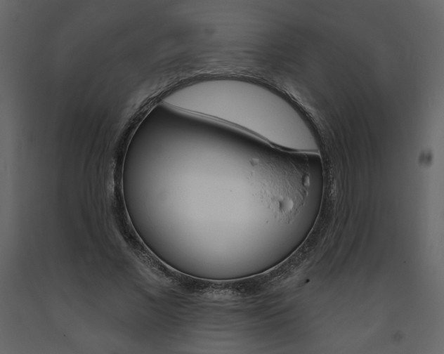 X0000094070685200710190956