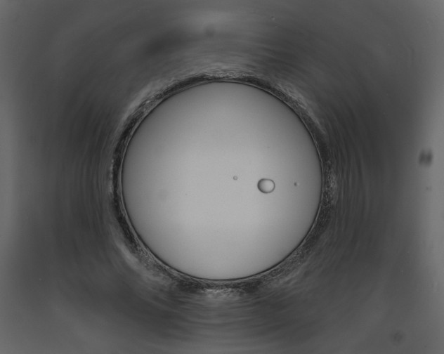X0000094070686200710190956