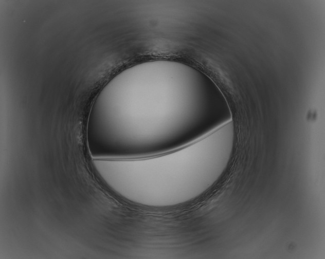 X0000094070689200710190956