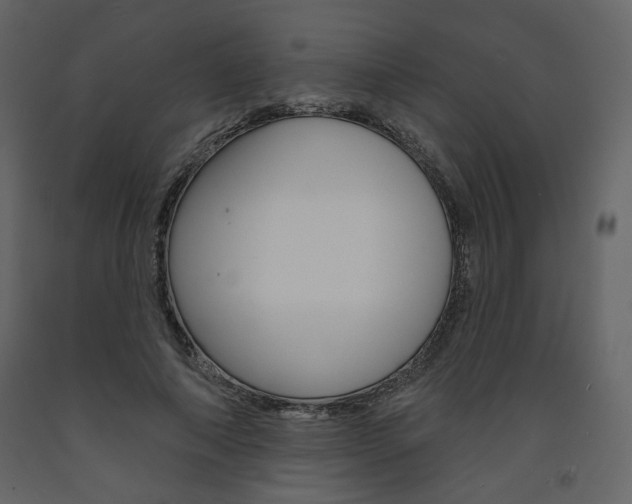 X0000094070690200710190956