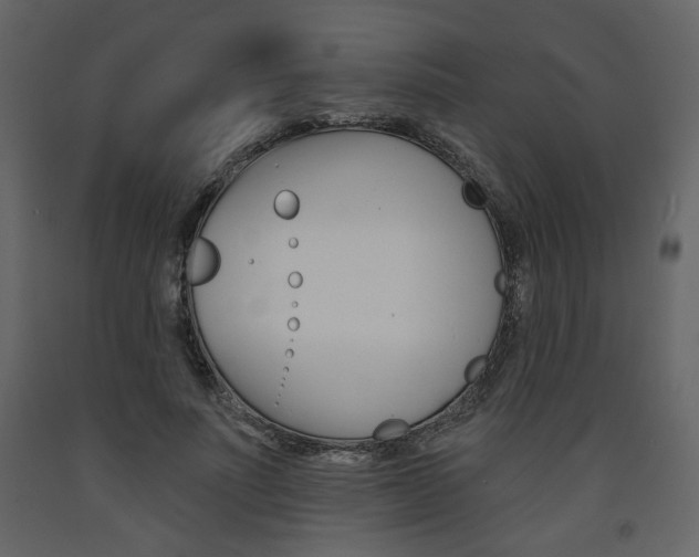 X0000094070691200710190956