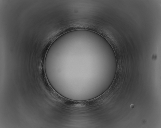 X0000094070692200710190956