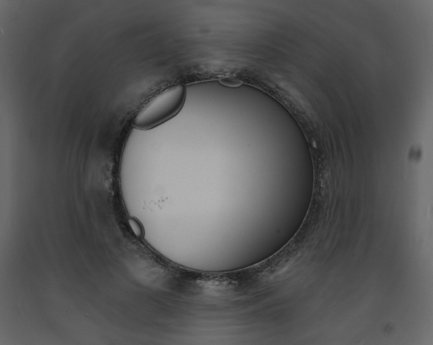 X0000094070693200710190956