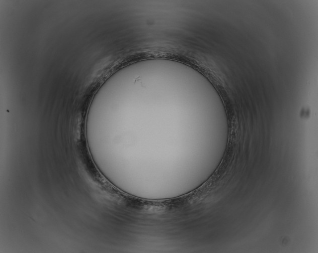 X0000094070694200710190956