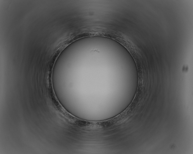 X0000094070696200710190956