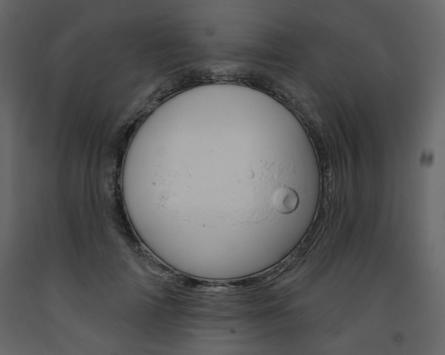X0000094070698200710190956