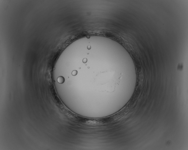 X0000094070699200710190956