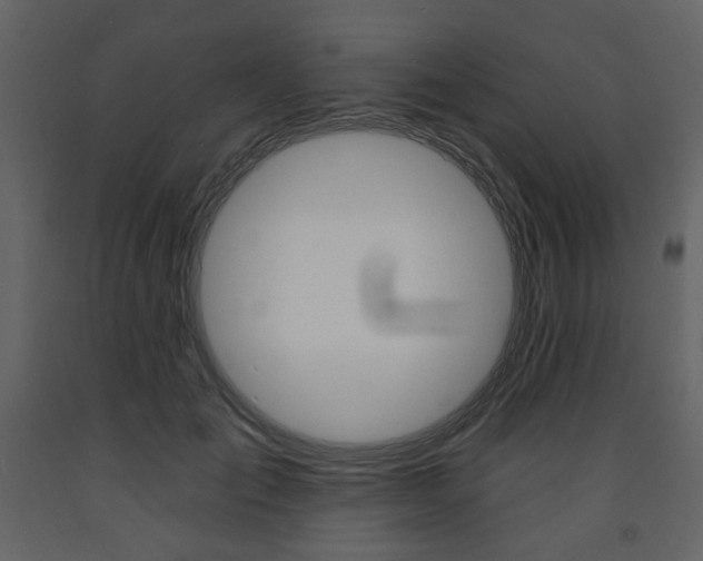 X0000094070701200710190956