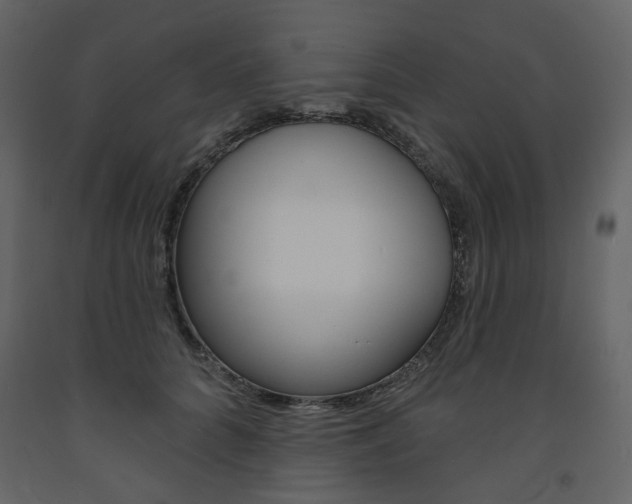 X0000094070704200710190956