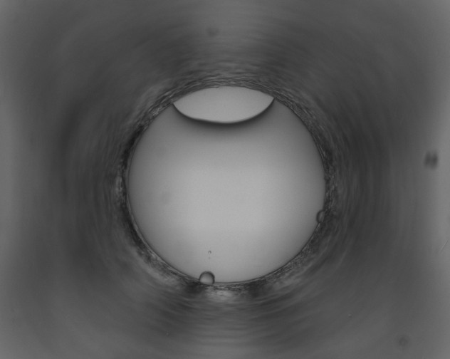 X0000094070706200710190956
