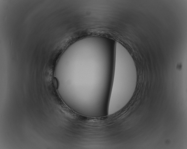 X0000094070708200710190956