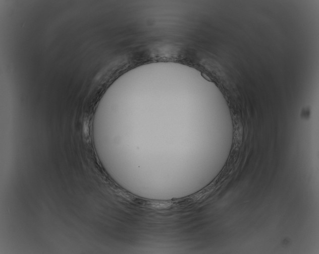 X0000094070709200710190956