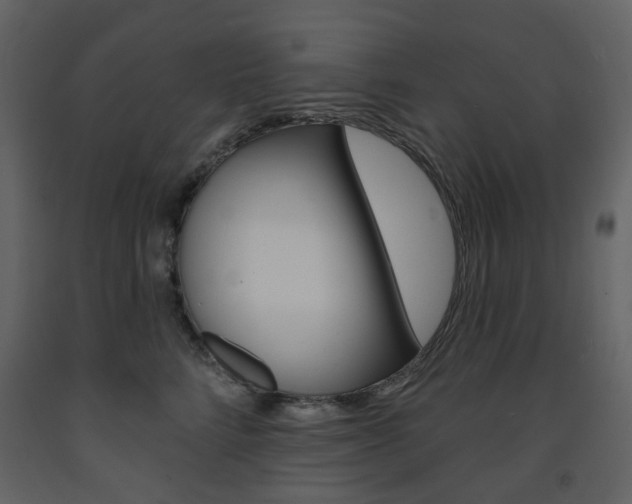 X0000094070712200710190956