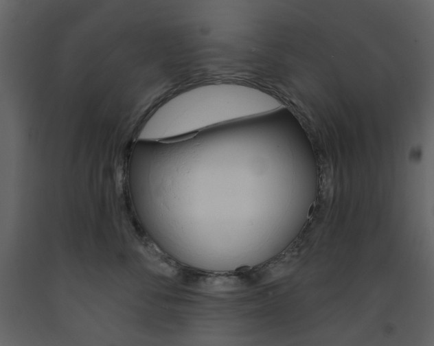 X0000094070716200710190955