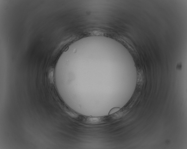 X0000094070717200710190955